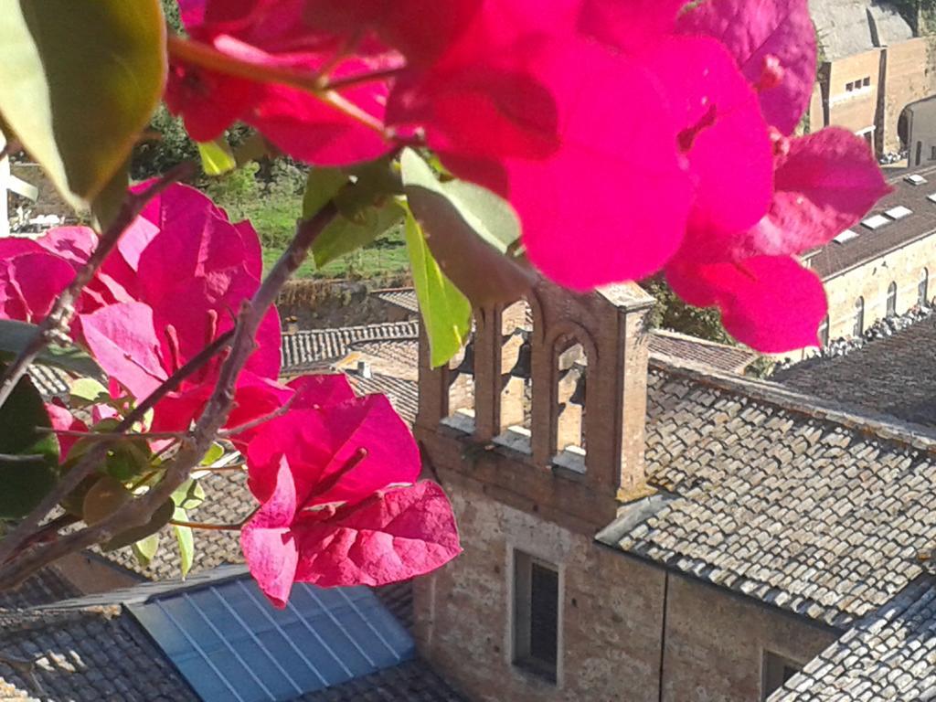 Residenza D'Epoca Campo Regio Relais Bed and Breakfast Σιένα Εξωτερικό φωτογραφία